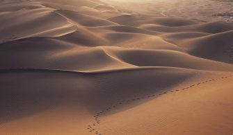 Background of Dune Series