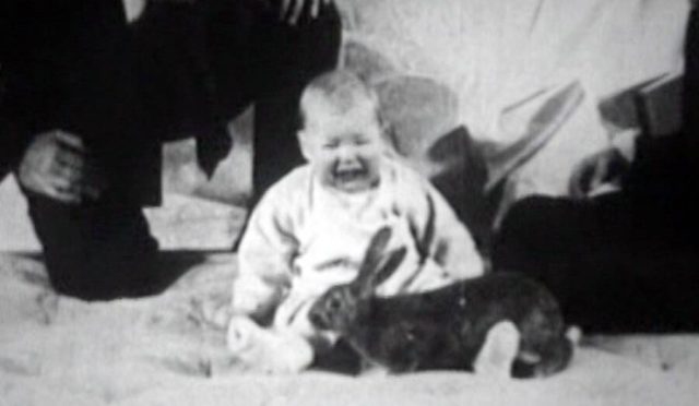 The Little Albert Experiment