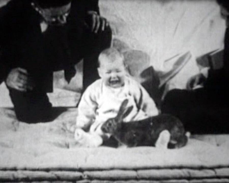 The Little Albert Experiment